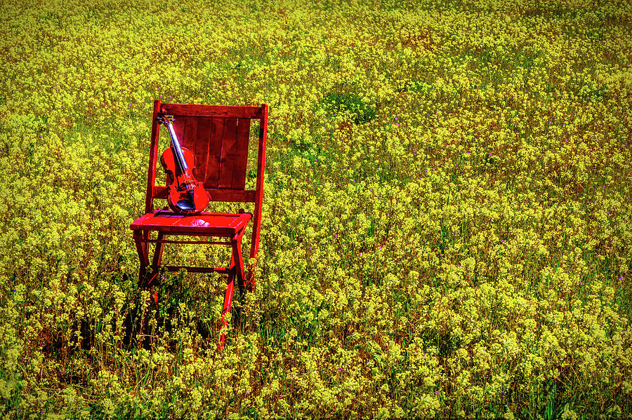 Violin On Red Chair In Flowering Field Photograph by Garry Gay