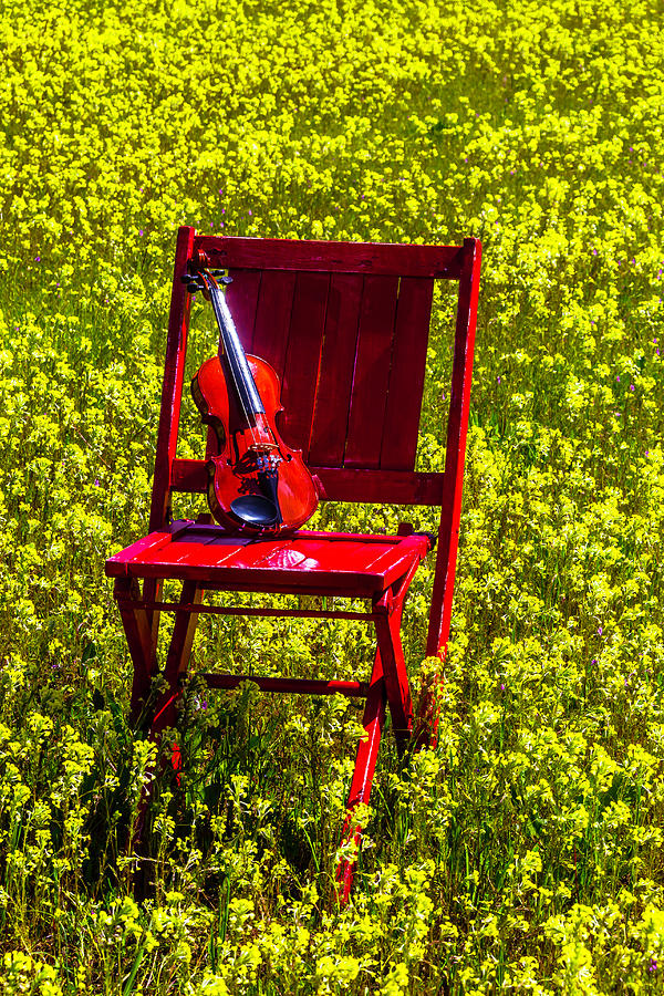 Violin On Red Wooden Chair Photograph by Garry Gay