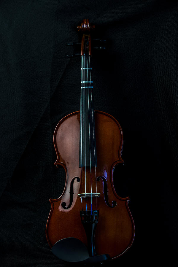 Violin Portrait Music 1 Photograph by David Haskett II
