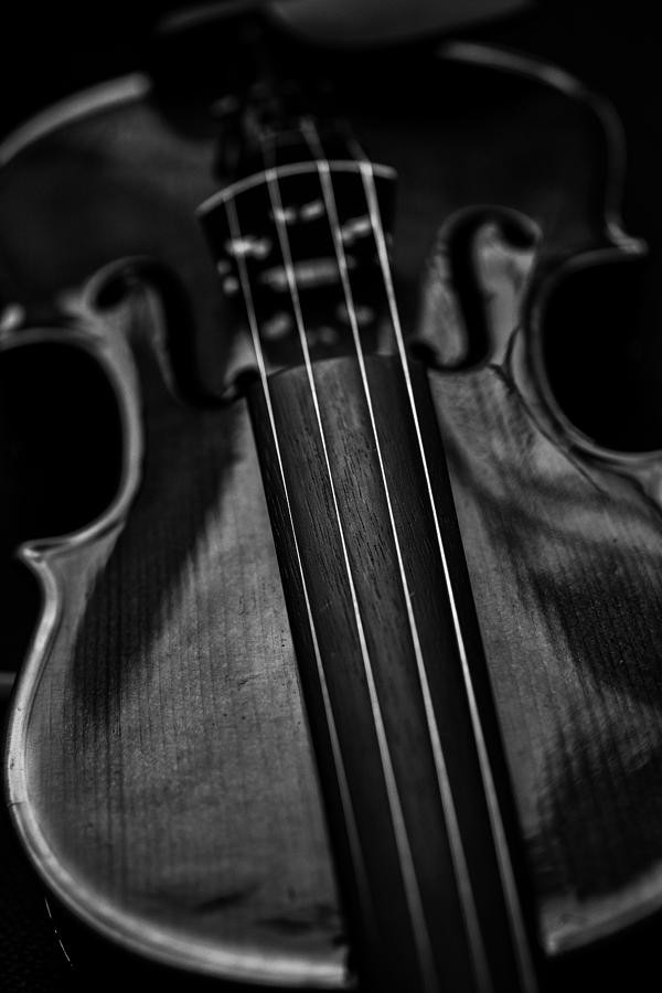 Violin Portrait Music 10 Black White Photograph