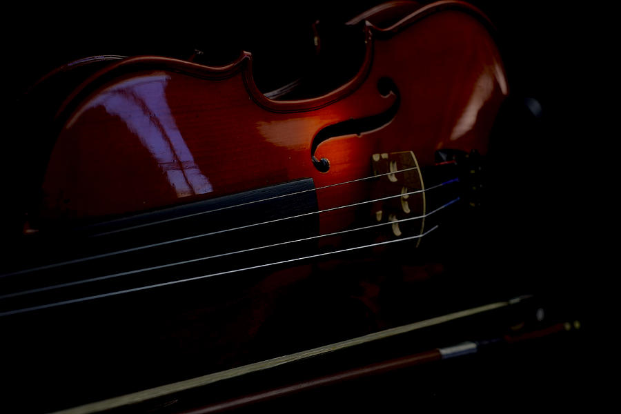 Music Photograph - Violin Portrait Music 12 by David Haskett II
