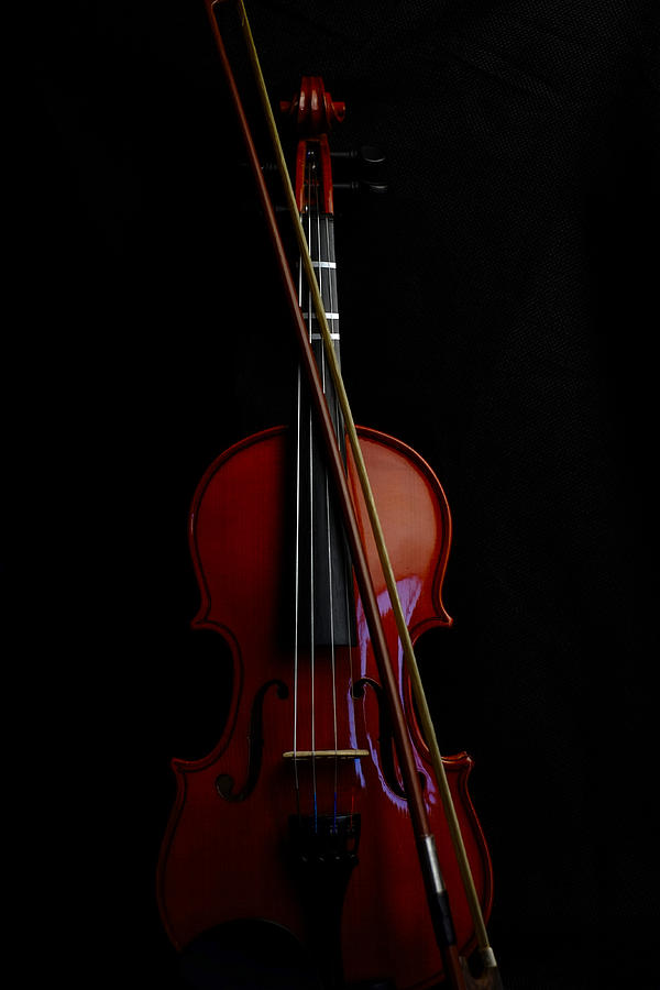 Violin Portrait Music 13 Photograph by David Haskett II