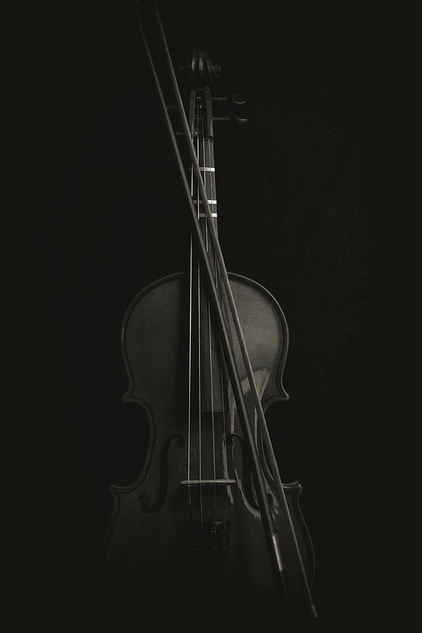 Violin Portrait Music 14 Photograph