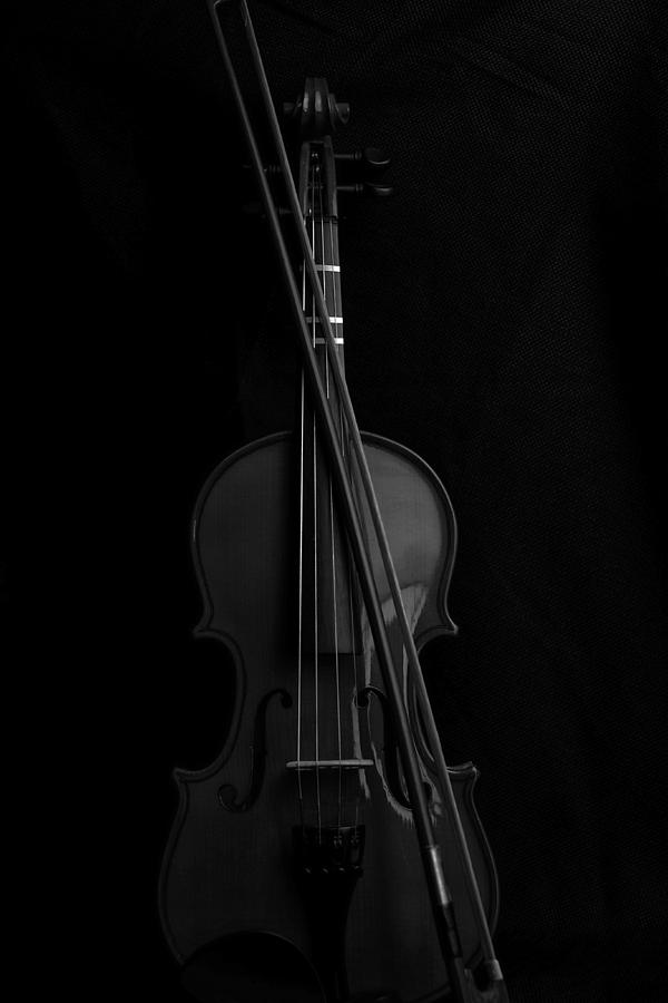 Violin Portrait Music 14a Black White Photograph by David Haskett II