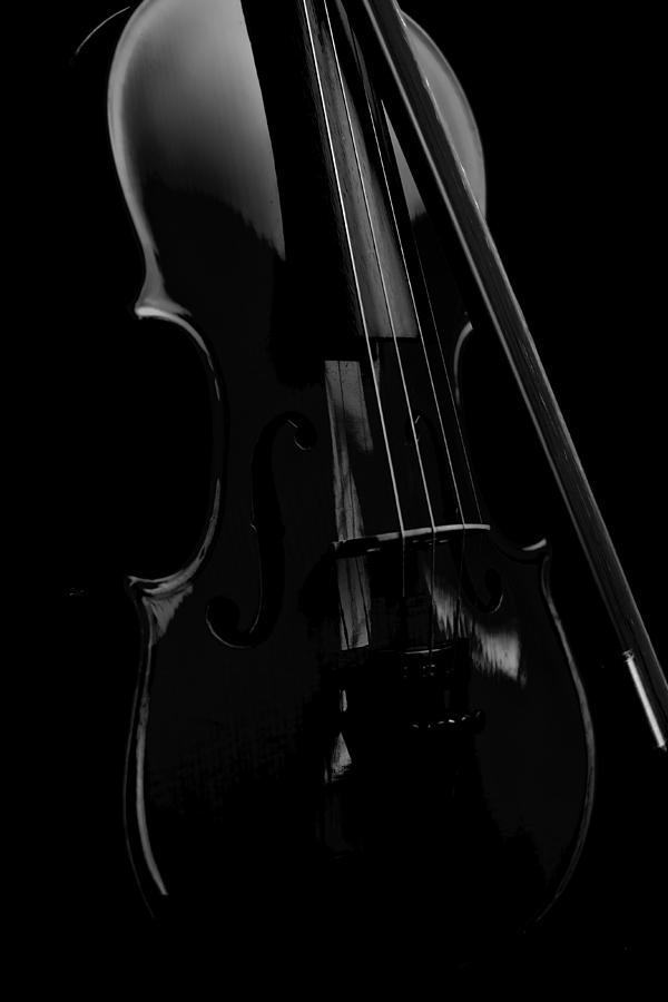Music Photograph - Violin Portrait Music 17 Black White by David Haskett II