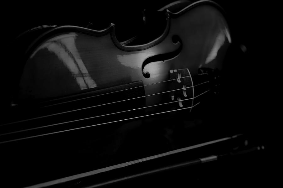 Violin Portrait Music 18 Black White Photograph