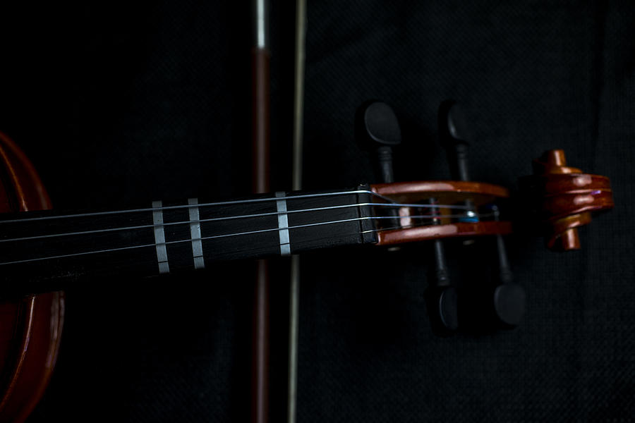 Violin Portrait Music 2 Photograph by David Haskett II