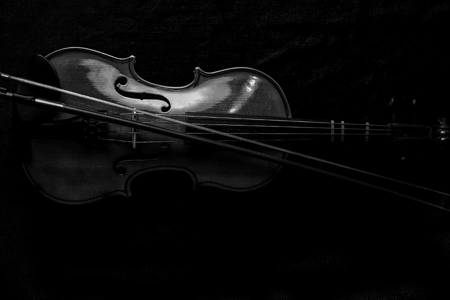 Violin Portrait Music 21 Black White Photograph by David Haskett II