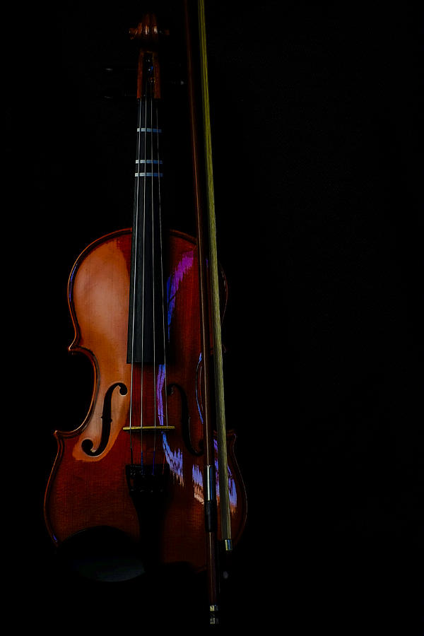 Violin Portrait Music 22 Photograph