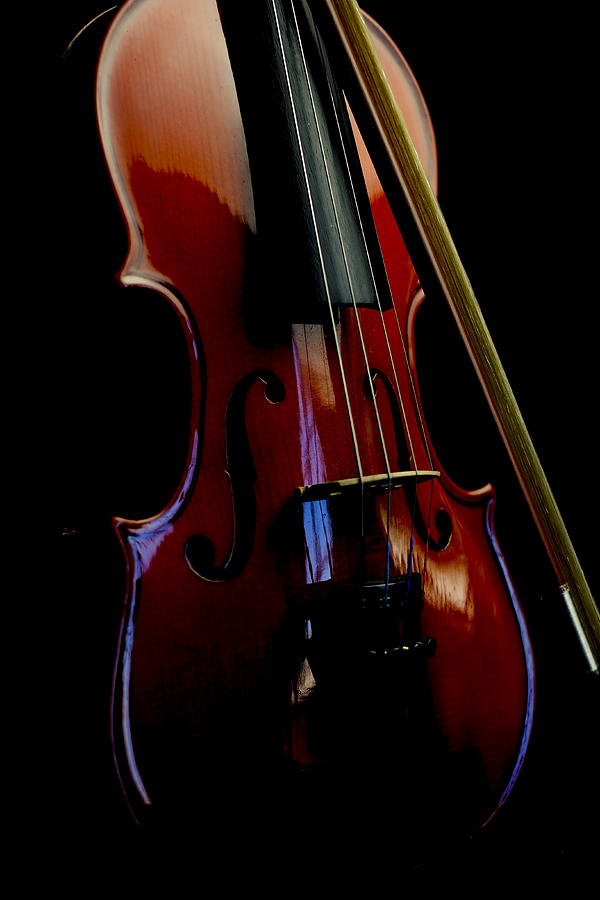 Violin Portrait Music 23 Photograph by David Haskett II