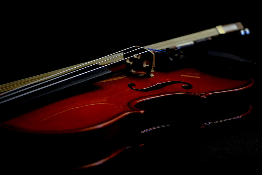 Violin Portrait Music 24 Photograph by David Haskett II