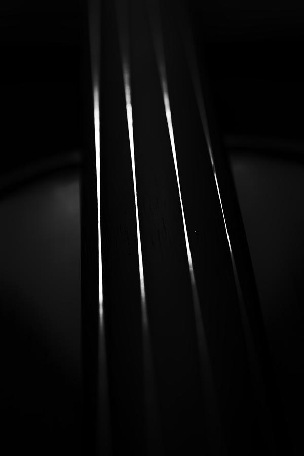 Violin Portrait Music 27 Macro Black White Photograph by David Haskett II