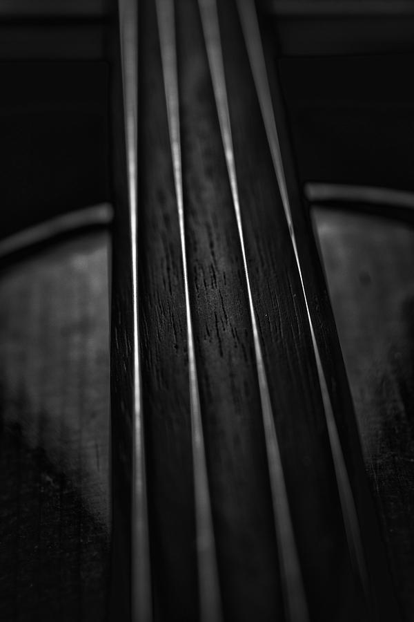 Violin Portrait Music 28 Black White Macro Photograph by David Haskett II
