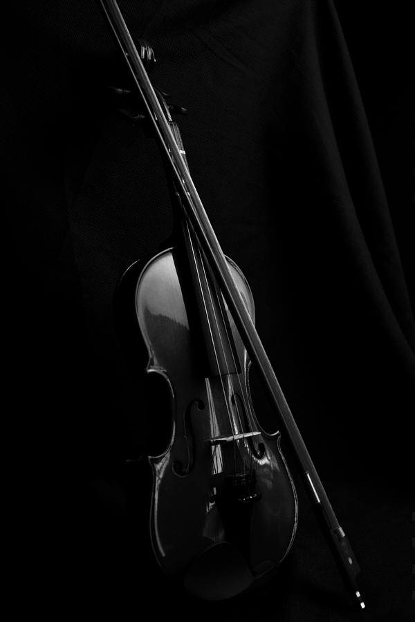 Violin Portrait Music 29 Black White Photograph