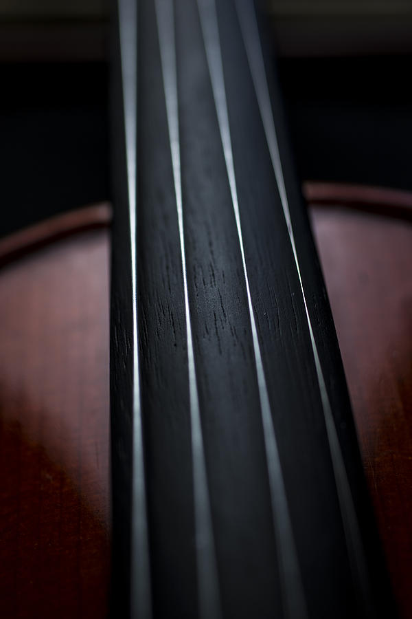 Violin Portrait Music 3 Photograph by David Haskett II