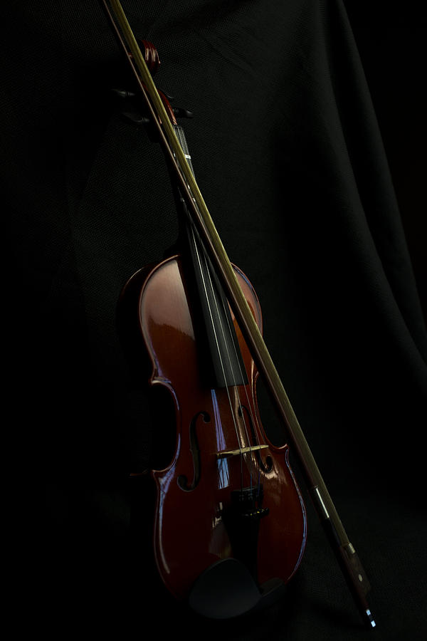 Violin Portrait Music 30 Photograph by David Haskett II