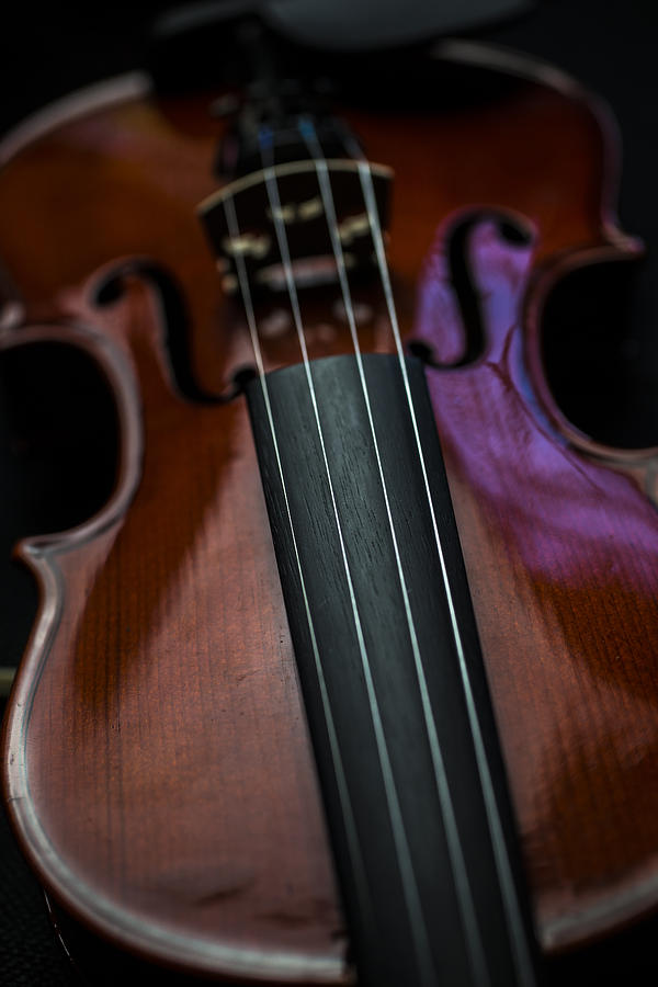 Violin Portrait Music 5 Photograph