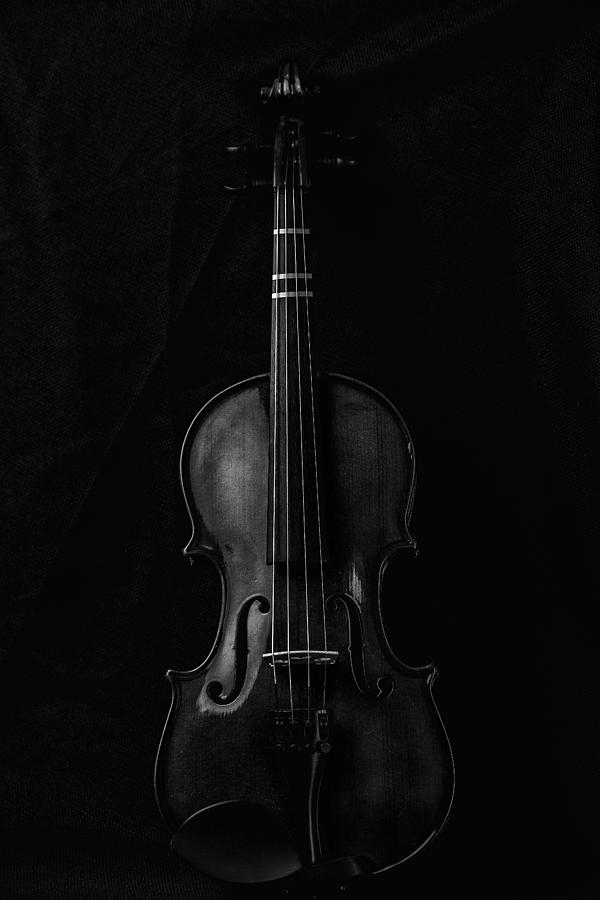 Violin Portrait Music 7 Black White Photograph