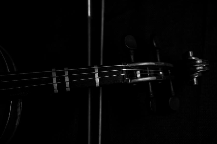 Violin Portrait Music 8 Black White Photograph