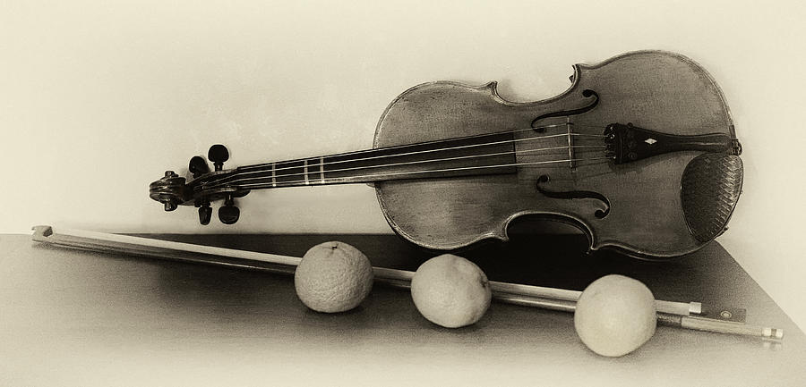 Violin Prop Photograph by Art Cole