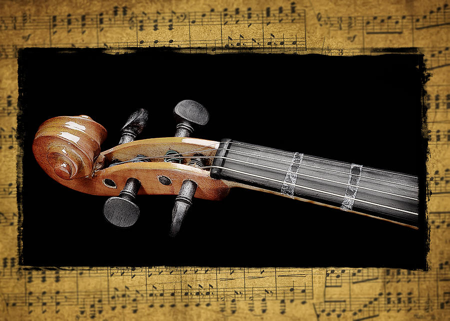 Violin Scroll Photograph