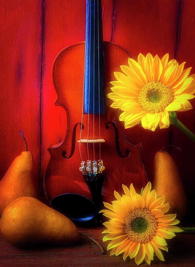 Violin Sunflower And Pears Photograph by Garry Gay