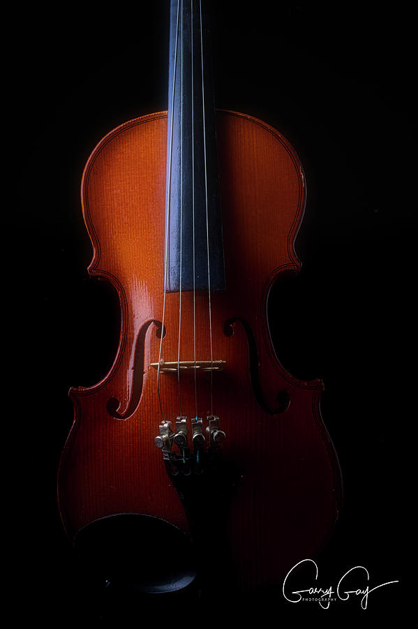 Violin With Artist Signature Photograph by Garry Gay