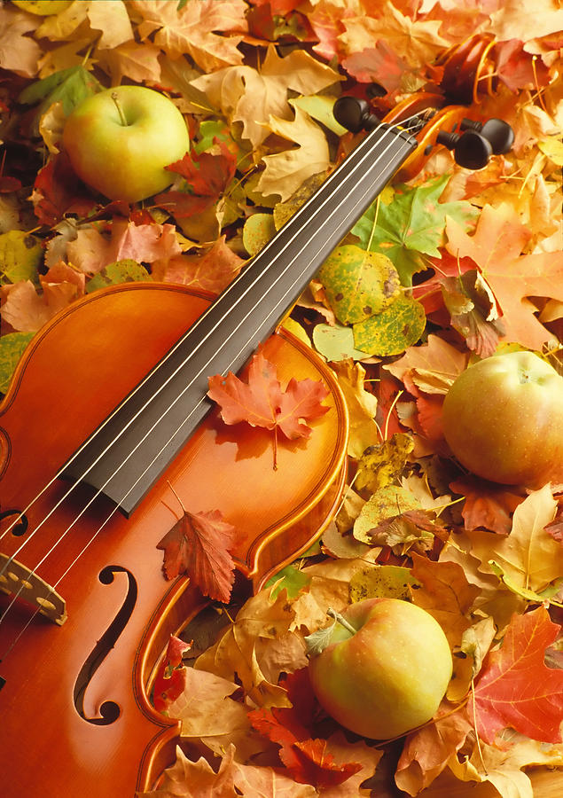 Violin with Fallen Leaves Photograph by Douglas Pulsipher