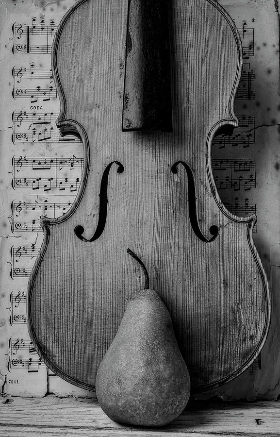 Violin With Pear and Sheet music Photograph by Garry Gay