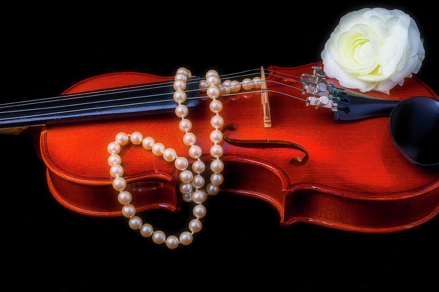 Violin With Pearls Photograph by Garry Gay