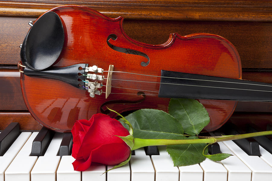 with rose piano Photograph by Garry Gay - Fine Art America