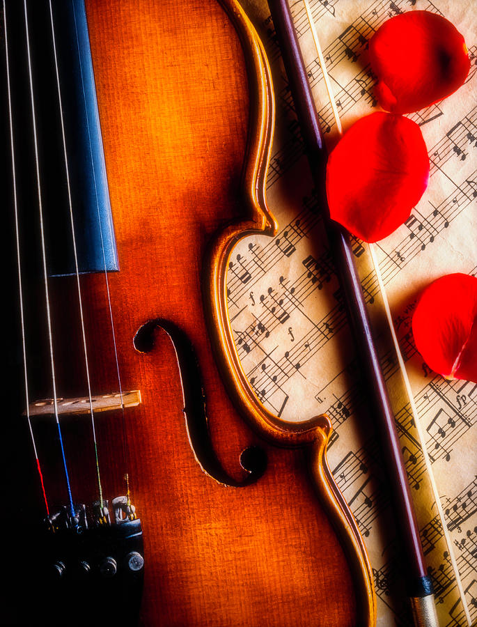 Violin With Rose Petals Photograph by Garry Gay