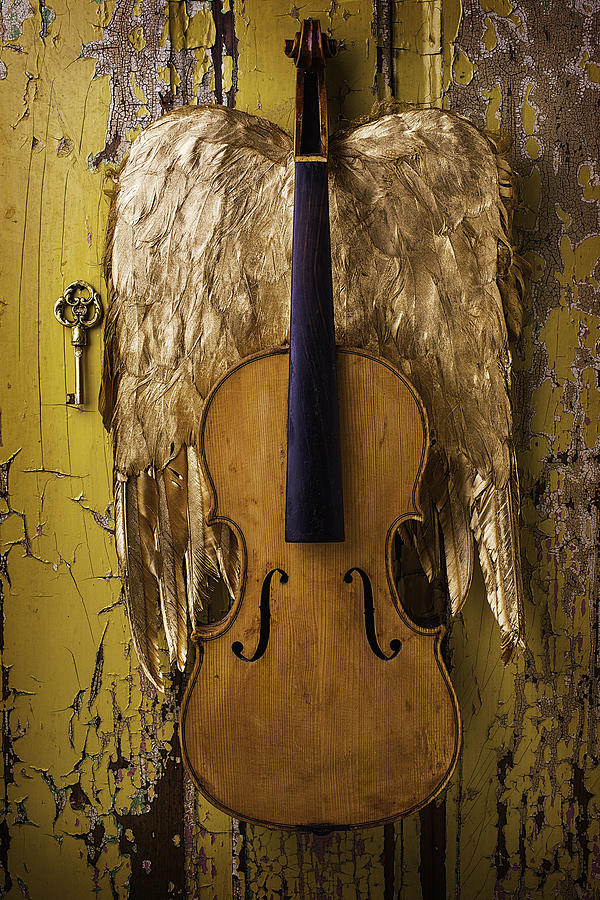 Violin With Wings Photograph by Garry Gay