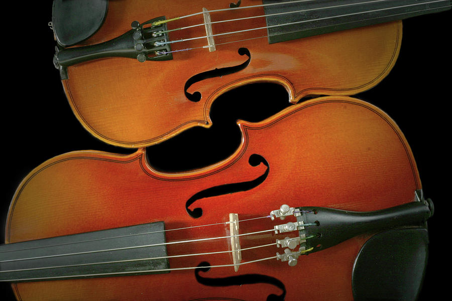 Violins Side by Side Photograph by David and Carol Kelly