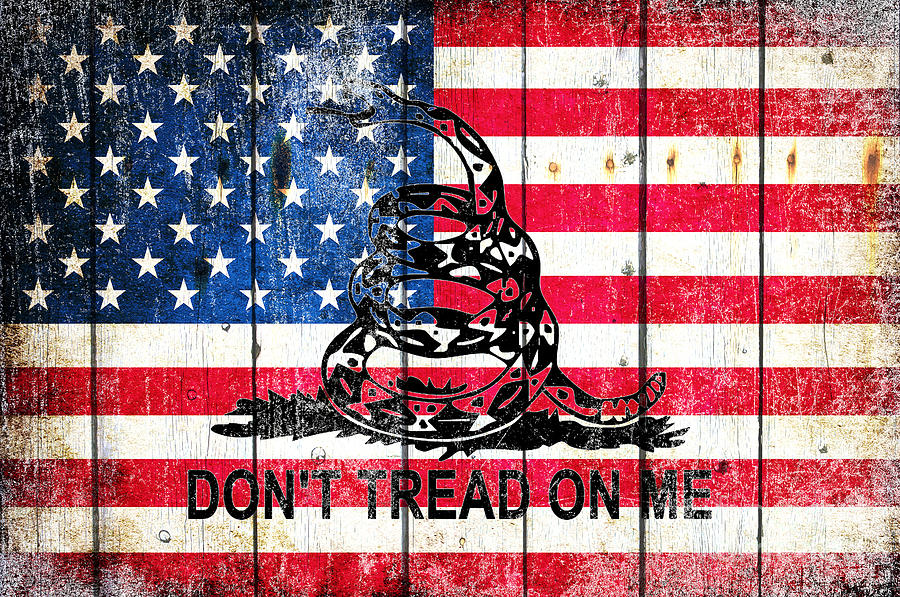Viper on American Flag on Old Wood Planks Digital Art by M L C