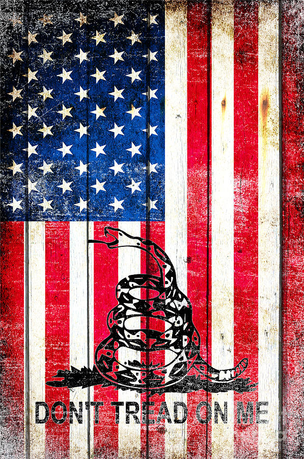 Viper on American Flag on Old Wood Planks Vertical Digital Art by M L C