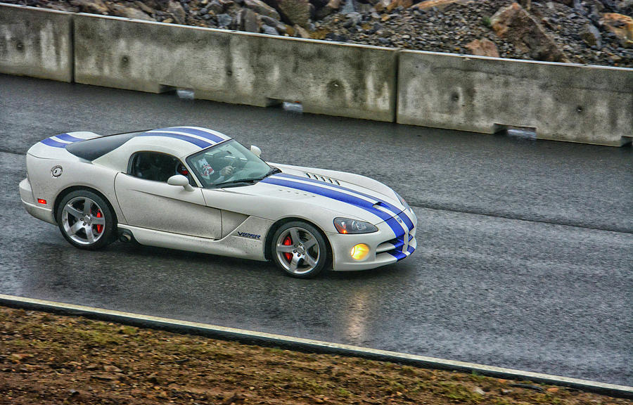Viper on Wet Track Photograph by Mike Martin