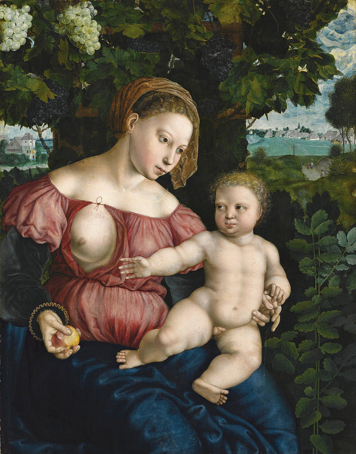 Virgin and Child beneath a Vine Painting by Jan Sanders van Hemessen