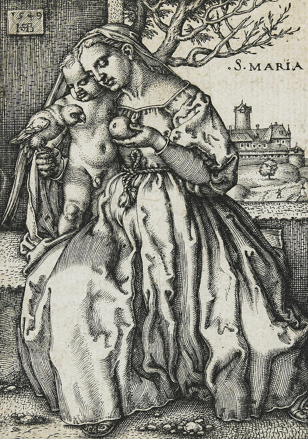 Madonna Drawing - Virgin and Child with a Parrot by Hans Sebald Beham
