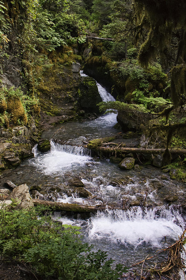 Virgin Creek Falls Photograph by Phyllis Taylor | Fine Art America