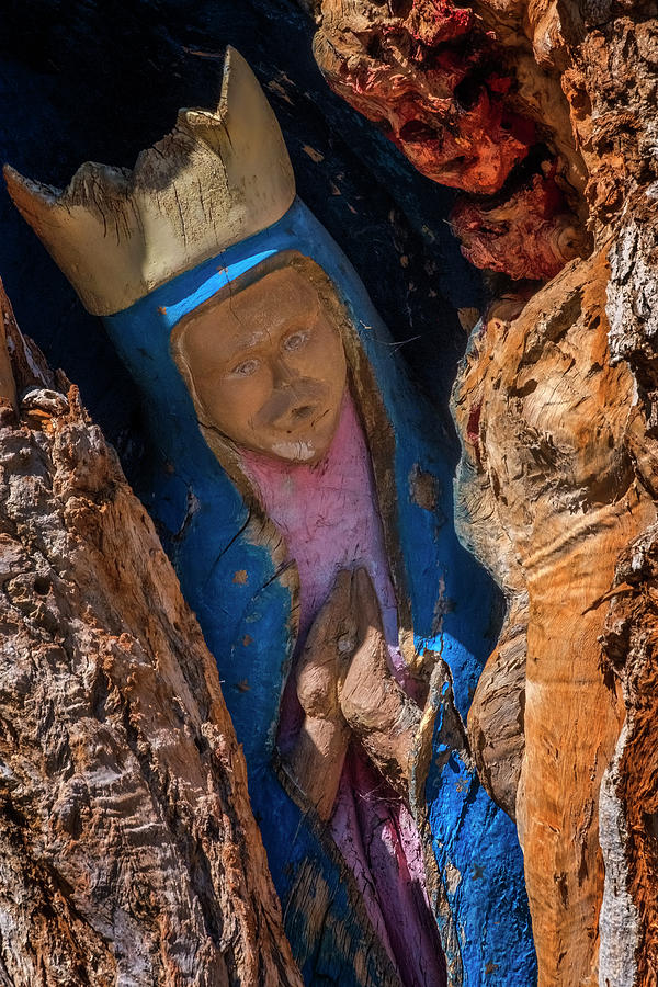 Virgin de Guadalupe Photograph by Tom Singleton