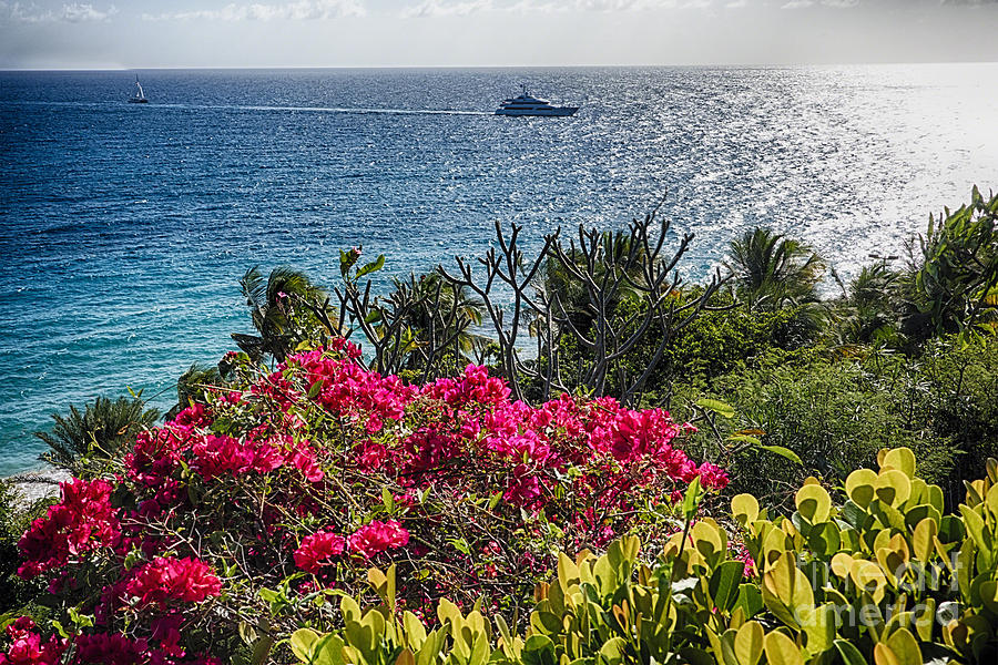 Flower Photograph - Virgin Islands Coastal Vista by George Oze