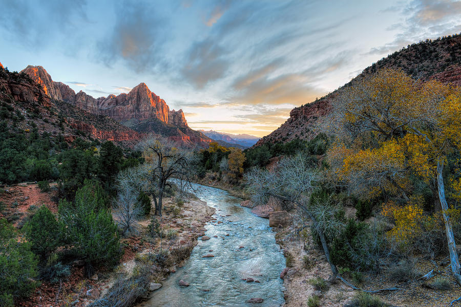 Virgin River and The Watchman Photograph by Mark Whitt