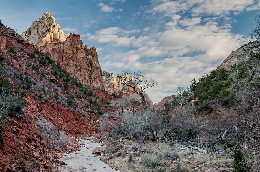 Virgin River and Zion Canyon Morning Photograph by Greg Nyquist