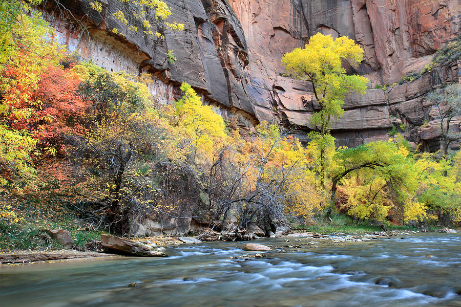 Virgin River At Sinawava Temple Photograph By Pierre Leclerc 