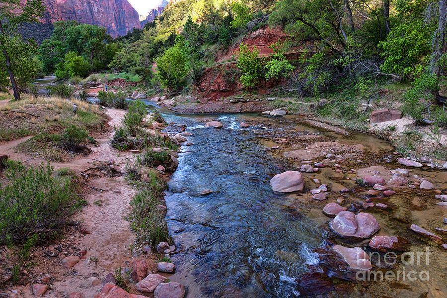 Virgin River at Zion Photograph by Peggy Hughes