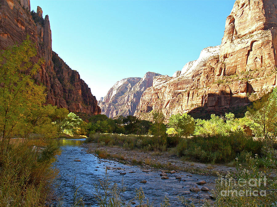 Zion National Park Photograph - Virgin River in Zion by Alex Cassels