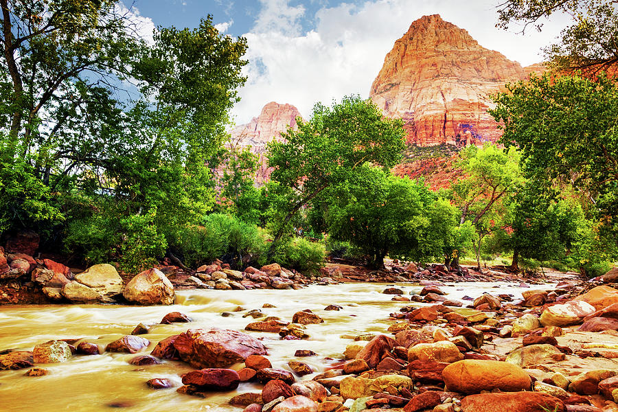 Nature Photograph - Virgin River in Zion National Park - Utah USA by Good Focused