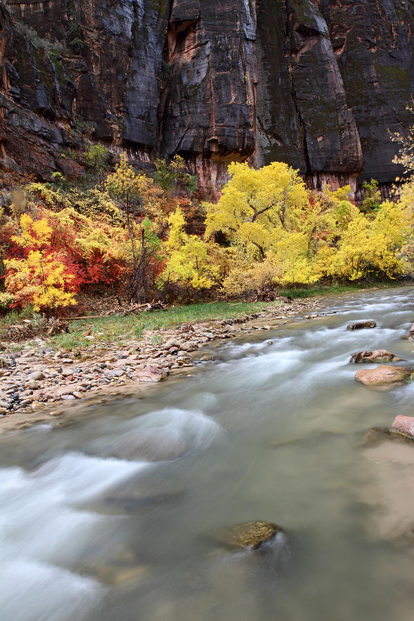 Fall Photograph - Virgin River in Zion by Pierre Leclerc Photography