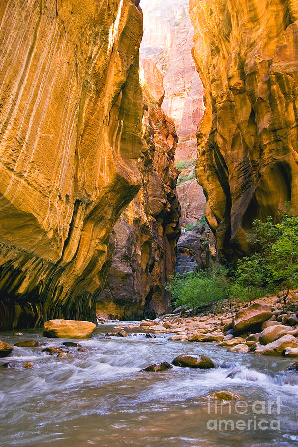 Virgin River Narrows Photograph by Greg Clure - Fine Art America